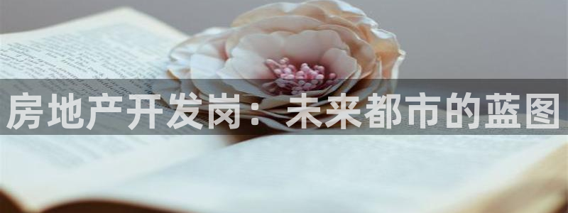 万向娱乐注册资金多少合适