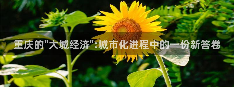 万向娱乐平台代理怎么样赚钱