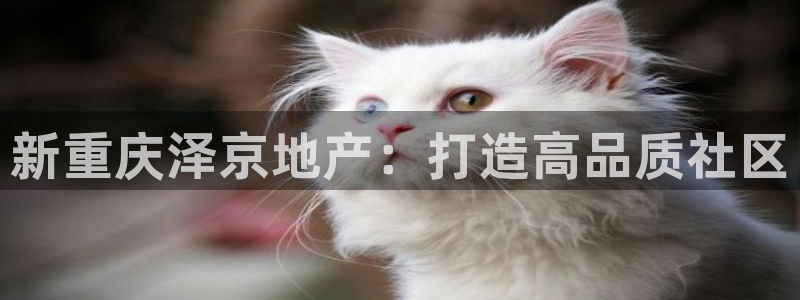 万向娱乐的联系方式是什么