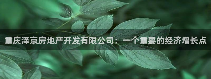 万向娱乐平台注册条件有哪些
