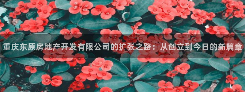 万向娱乐的注册登录