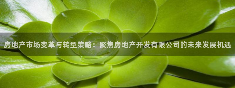 万向娱乐官网下载安卓